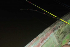 Tips Mancing Patin Liar di Sungai Musi, Ini Rahasia Jitu Para Angler Lokal
