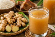 Jamu Beras Kencur, Warisan Herbal Nusantara yang Kaya Manfaat, Begini Cara Membuatnya Sendiri di Rumah