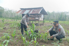 Dukung Kesejahteraan Petani Desa Sugih Waras Barat