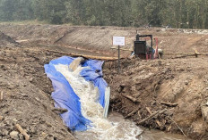 Hadapi Ancaman Karhutla, PT BPP Terapkan Sistem Injeksi Air di Lahan Gambut