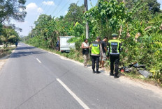 Kecelakaan Maut Mobil Box SPPG vs Motor di Jalan Lintas Komering, Tiga Orang Meninggal Dunia