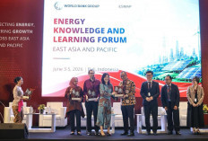 Pertamina Genjot Energi Bersih untuk Capai Target Net Zero Emission 2060
