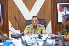 Pemprov Sumsel Cari Jalan Keluar Atasi Gangguan Listrik di Kawasan Tambak Udang OKI