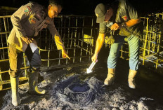 Kebakaran Lahap Bak Penampungan Minyak dan Pondok Pekerja, Pemilik Diamankan Polisi