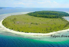 Pemekaran Wilayah Sulawesi Tenggara: 7 Potensi SDA Unggulan Calon Ibu Kota Provinsi Muna Raya