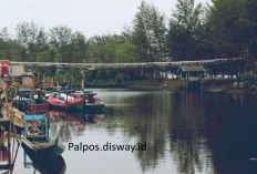 Pemekaran Wilayah Kalimantan Tengah: Wacana Pembentukan Empat Provinsi Baru untuk Perkuat Identitas Lokal