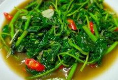 Lezat dan Bergizi, Tumis Bayam Saus Tiram Menjadi Pilihan Favorit Menu Sehari-hari
