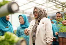 Perkuat 10 Program Pokok PKK