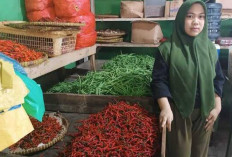 Harga Cabai Merah di OKU Tembus Rp100 Ribu Perkg