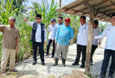 Bupati OKU Rogoh Kocek Pribadi Bangun Jalan Cor Setapak di Kelurahan Sepancar