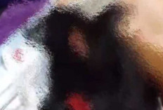 KDRT di Prabumulih Viral di Medsos, Seorang Istri Alami Luka Serius di Kepala