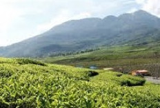 Pemekaran Wilayah Sumatera Barat: Wacana Pembentukan 3 Provinsi Baru untuk Dorong Pemerataan Pembangunan