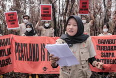 Momentum Hari Sumpah Pemuda, Orang Muda Sumsel Desak Pemerintah Hentikan Warisan Krisis Karhutla
