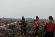 Karhutla Hanguskan 33 Hektare Lahan, 60 Personel Dikerahkan