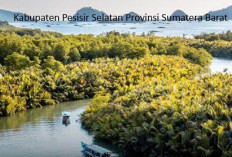 Pemekaran Wilayah Sumatera Barat: Wacana Pembentukan Kabupaten Renah Indojati, Calon Daerah Penghasil Cabai