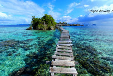Pemekaran Wilayah Sulawesi Tengah: Calon Kabupaten Kepulauan Togean Digadang Jadi Destinasi Wisata Unggulan