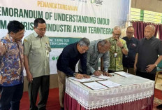 PTPN I Perkuat Ketahanan Pangan Melalui Hilirisasi Terintegrasi di Bone