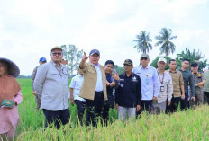 Gubernur Herman Deru Ungkap Kunci Sukses Sumsel Jadi Tiga Besar Nasional Produksi Pangan