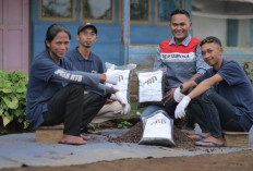 Hutan Lestari Pertamina: Menenun Harmoni Alam, Menuai Kesejahteraan Masyarakat