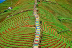 Pemekaran Wilayah Jawa Barat: Wacana Pembentukan 4 Kabupaten dan Kota Baru Pisah Dari Kabupaten Majalengka