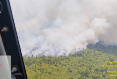 Karhutla Masih Sisakan Titik Api, PT Tripupa Jaya Perkuat Pemadaman di TN Berbak Sembilang
