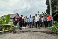 Tinjau Jembatan Lubuk Rukam–Muara Kumbang yang Ambruk, Panca: Kita Akan Perbaiki Dalam Waktu Sebulan