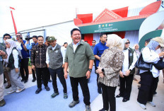 Gubernur Herman Deru: Kelestarian Hutan Sumsel Jadi Penopang Sumber Daya Air dan Keberlanjutan Pembangunan
