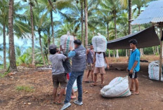 Di Tengah Bentang Kepulauan Talaud, Mantri BRI Hadir Menggerakkan Denyut Nadi Perekonomian 