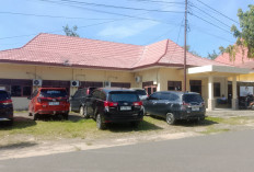 Polemik TKA di PT SPF Ogan Ilir, Disnakertrans Ungkap Hanya Teknisi Sementara Asal China