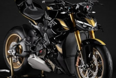 Livery Hitam-Emas Ikonik, Ducati Streetfighter V4 S 