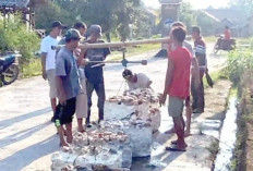 Harga Karet Tembus Rp25 Ribu/Kg, Petani di OKU Sumringah