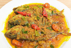 Ikan Kembung Bumbu Kuning, Hidangan Tradisional yang Lezat dan Kaya Manfaat