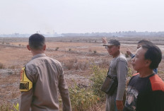 Karhutla Bakar 3 Hektar Sawah