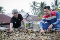 Inovasi Eceng Gondok Kilang Plaju Raih Penghargaan Emas di Thailand