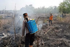 Lahan Seluas 8,5 Haktare di Desa Merbau OKU Terbakar
