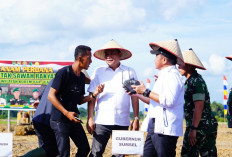 Program Nasional Cetak Sawah Dorong Kemandirian Pangan, Muba Dapat Amanah 6.100 Hektare