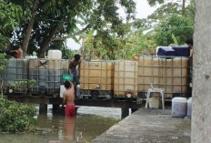 Buntut Pekarangan SD Belanti Jadi Tempat Penyimpanan Solar, Camat Pedamaran Panggil Kepsek dan Kades