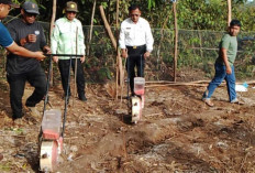 Wali Kota Prabumulih H Arlan Tanam Jagung di Lahan Pribadi, Contoh Nyata Dukung Program Ketahanan Pangan