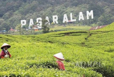 Gubernur Sumsel Jembatani Polemik Penutupan Wisata Gunung Dempo, Pastikan Ekonomi Warga Tetap Berjalan