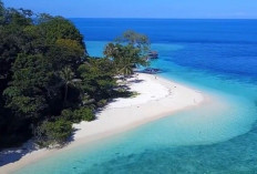 Pemekaran Wilayah Aceh: Wacana Pembentukan Kabupaten Selaut Besar Menjadi Motor Penggerak di Sektor Perikanan