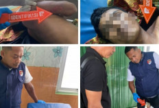 Petani di OKU Tewas Tersengat Listrik Saat Sedang Memanen Sawit