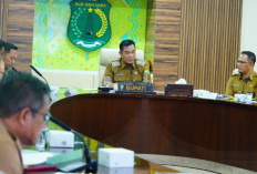 Pemkab Muba Kaji Pelepasan HGU PT Hindoli