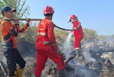 3 Hektare Lahan Program Cetak Sawah Rakyat Terbakar Tim Gabungan Upayakan Pemadaman