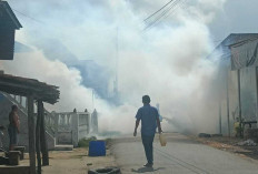 Cegah Merebaknya DBD, Pemdes Pedamaran 1 Bersama Puskesmas Gelar Fogging