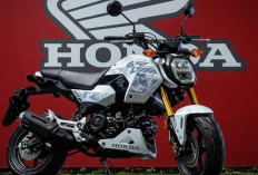 Motor Sport Mini Honda MSX Grom 2027 Makin Kece, Sudah Pakai USD dan ABS!