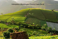 Pemekaran Wilayah Jawa Barat: Wacana Pembentukan Kota Kadipaten Solusi Atasi Sistem Birokrasi