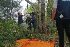 Penjual Model Tewas Gantung Diri
