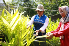 Inovasi Desa yang Menyatukan Kearifan Lokal dan Sains Modern 