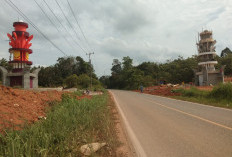 Pemekaran Wilayah Jambi: Wacana Pembentukan Kabupaten Tabir Raya Dinilai Strategis Optimalkan Potensi Daerah