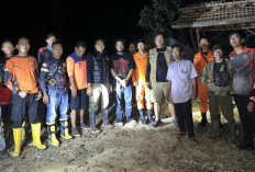 Tersesat di Hutan MHP, Pemuda Asal Jabar Ditemukan Selamat